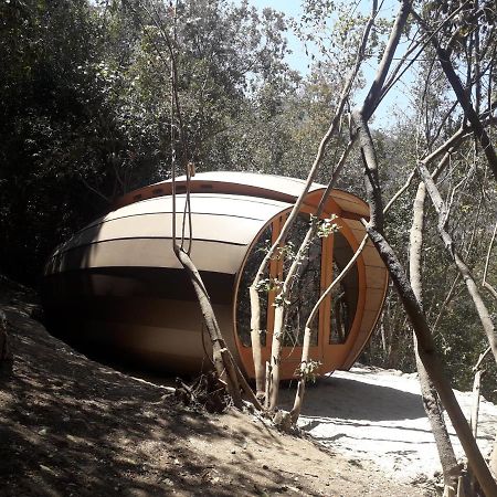 Biosfera Lodge Olmue Ngoại thất bức ảnh