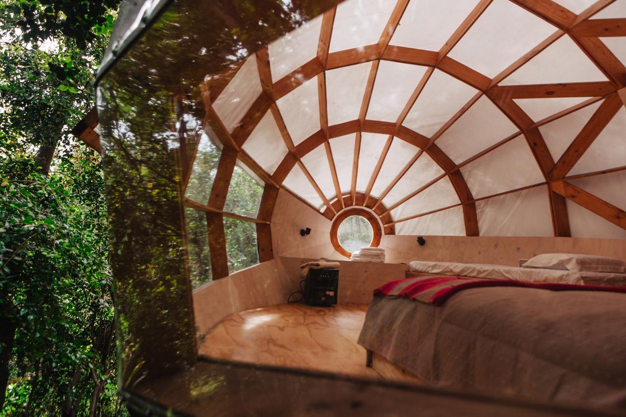Biosfera Lodge Olmue Ngoại thất bức ảnh