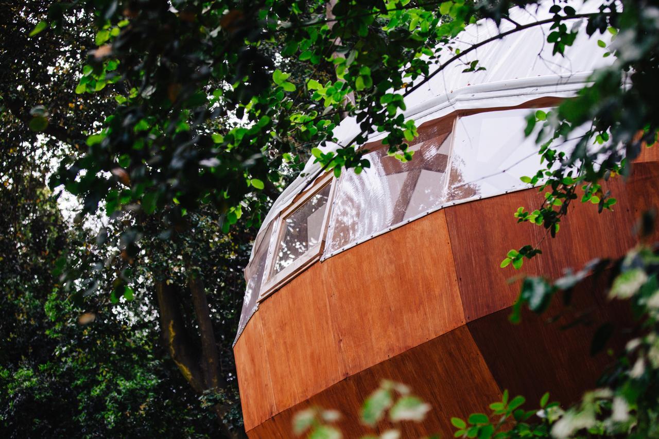 Biosfera Lodge Olmue Ngoại thất bức ảnh