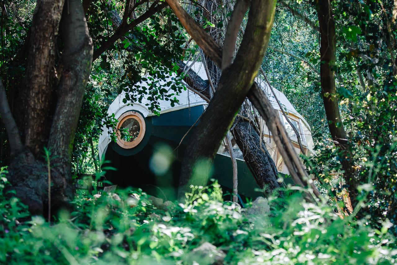 Biosfera Lodge Olmue Ngoại thất bức ảnh