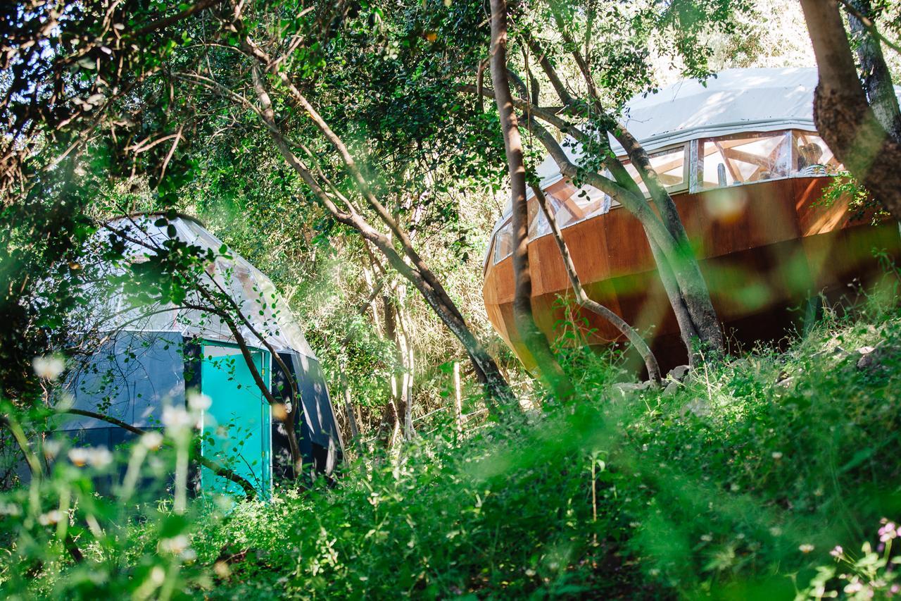 Biosfera Lodge Olmue Ngoại thất bức ảnh
