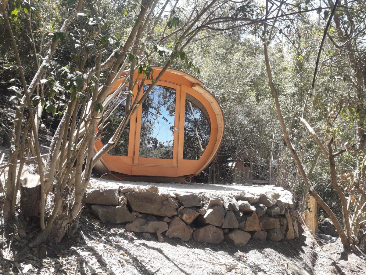 Biosfera Lodge Olmue Ngoại thất bức ảnh