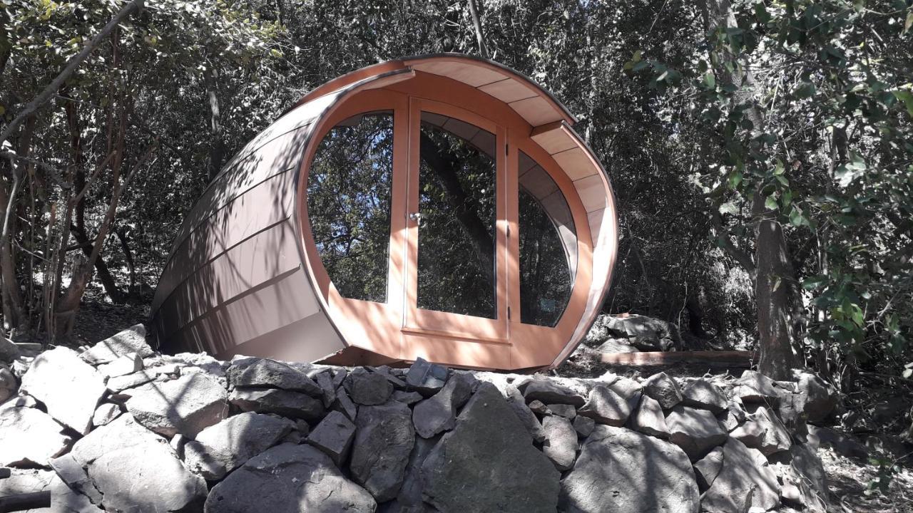 Biosfera Lodge Olmue Ngoại thất bức ảnh